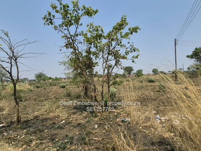 4800 m² Stand in Galloway — Norton