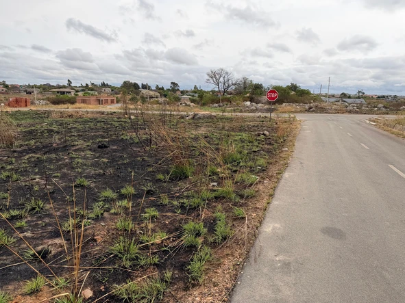 Stands & Residential Land