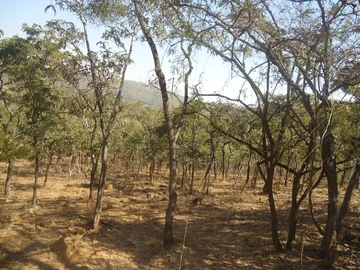 Agro/Residential Plot