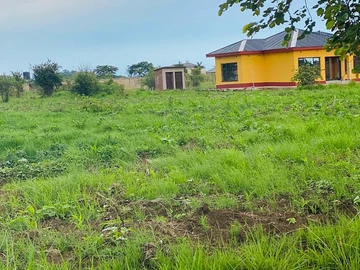 Farm & Agricultural Land