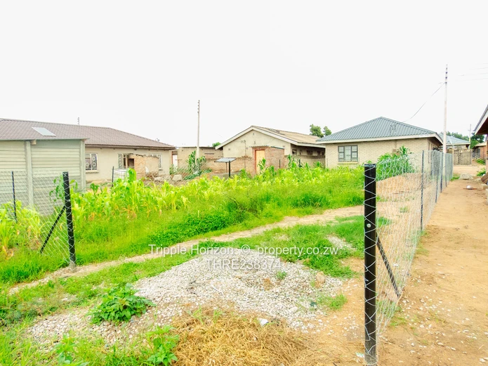 Southlea Park Stand for sale