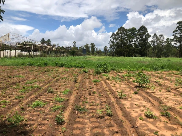 Farm & Agricultural Land