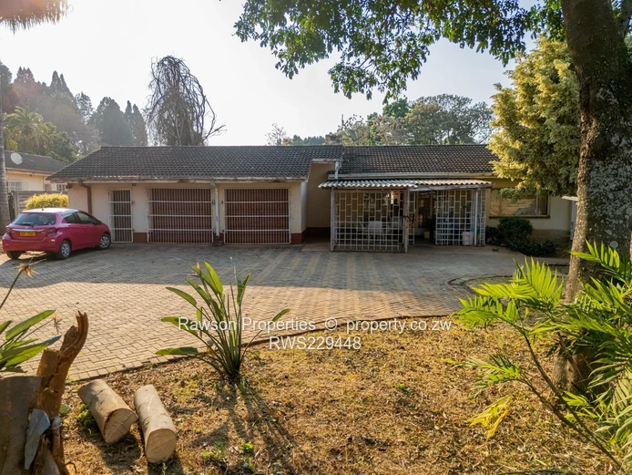 Golden Oldie in Marlborough 