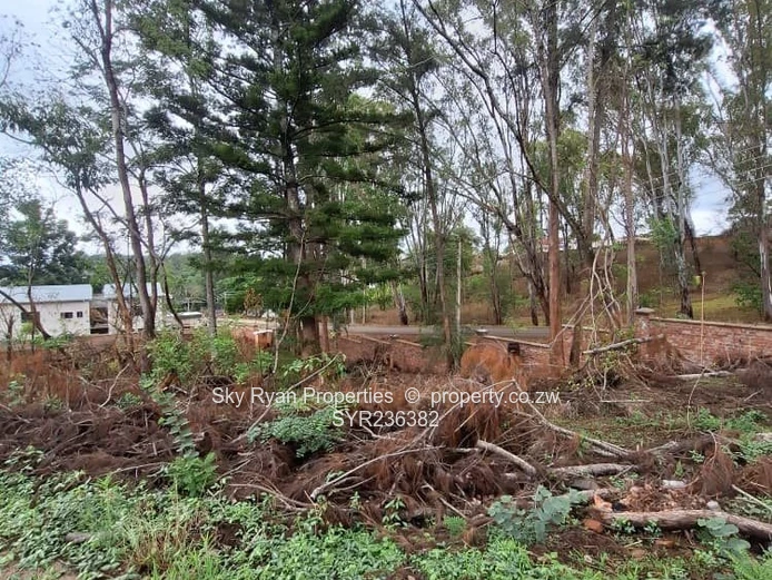 Glen Lorne Stand For Sale