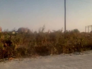 Commercial & Industrial Land