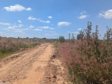 Land