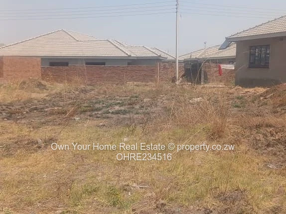 Galudina Stand for sale 