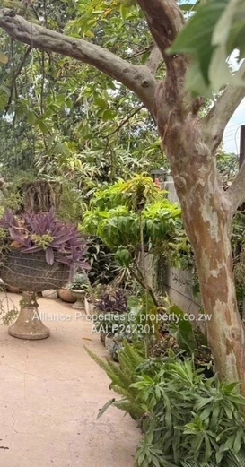 4 Bedroom House for Sale in Warren Park D – Title Deeds Available