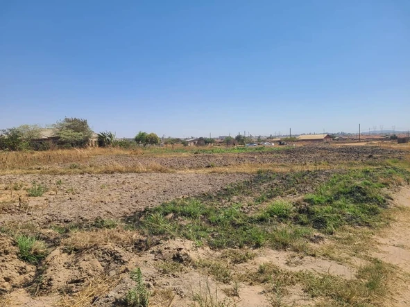 Stands & Residential Land