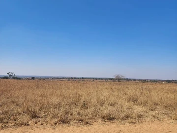Farm & Agricultural Land