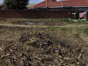 Stands & Residential Land