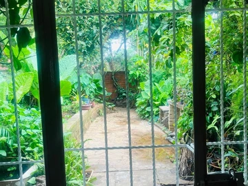 3 Bedroom Garden Flat