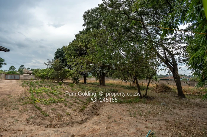 Development Opportunity