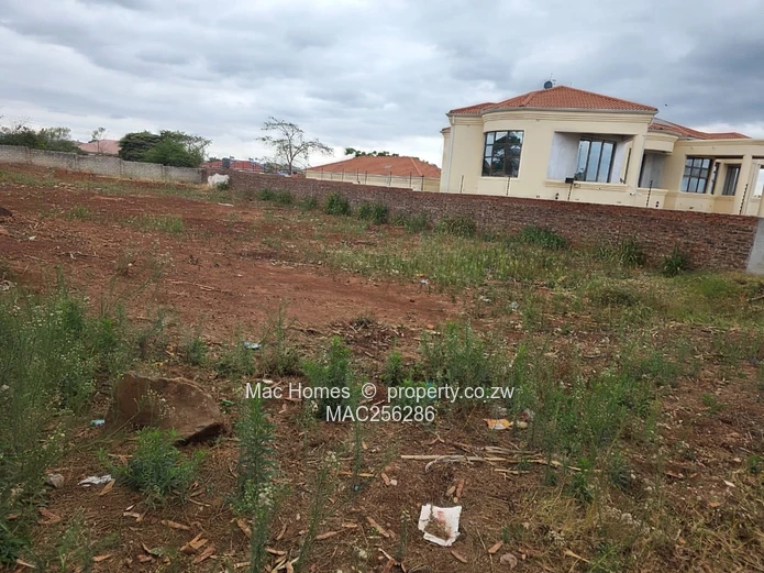 Ready to Build Stand for Sale