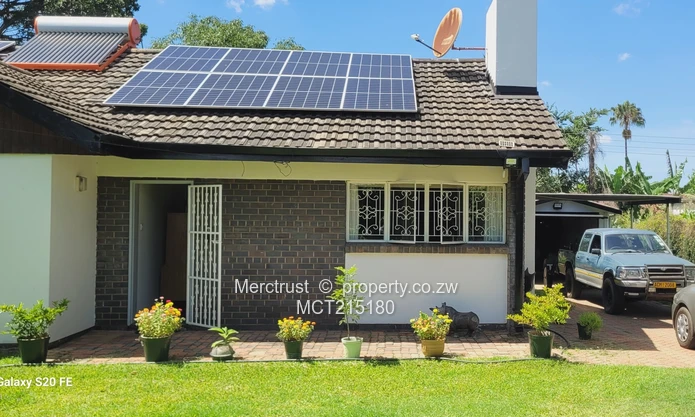 Absolutely immaculate! (Sole Mandate)