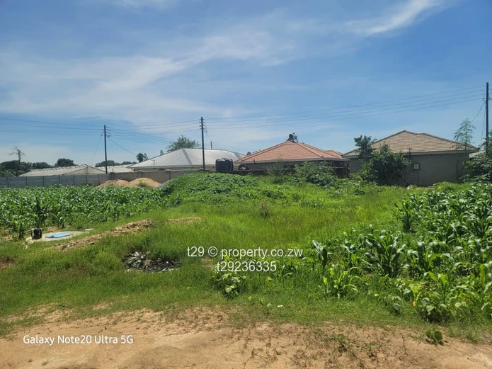 Granary phase 4 stand for sale