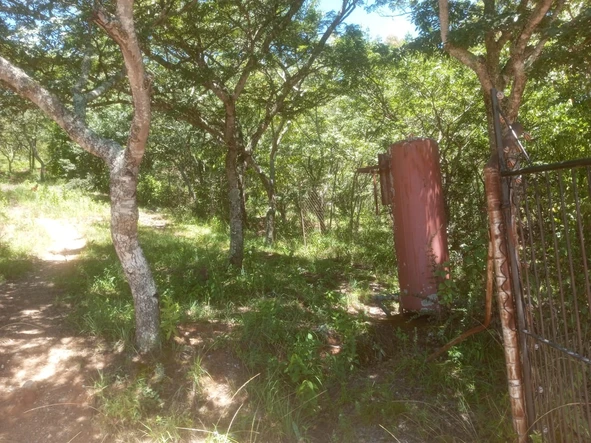 Farm & Agricultural Land