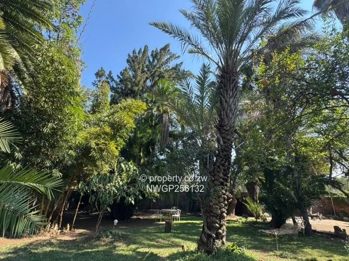 Spacious 3-Bed Home in Ilanda on 1679m² with Borehole & Solar