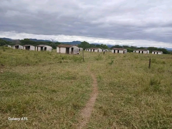 Farm & Agricultural Land