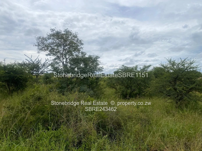 4 Acres Stand in Woodville Park for sale