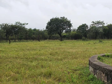 Farm & Agricultural Land