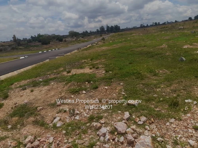 An opportunity not to miss