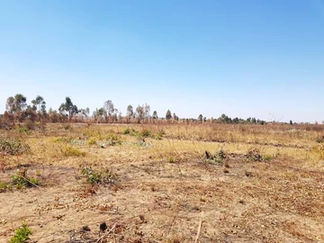 Commercial & Industrial Land