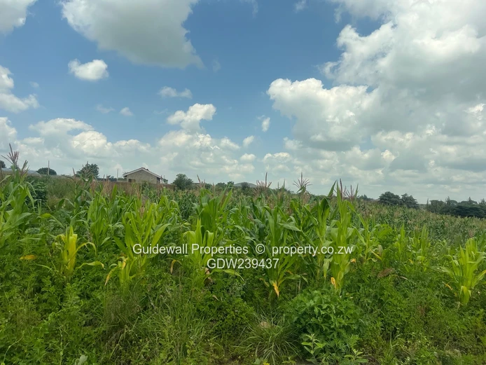 2594sqm stand in Rydale Ridge