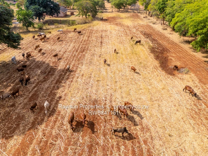 Prime 1,000ha Farm near Chegutu — Mashonaland West
