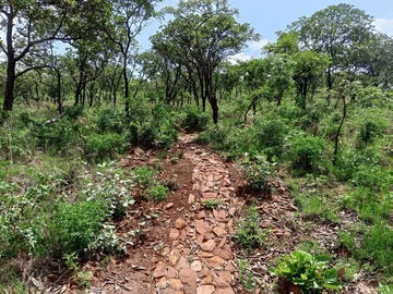 Farm & Agricultural Land