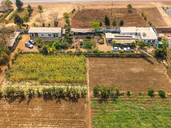 Farm & Agricultural Land