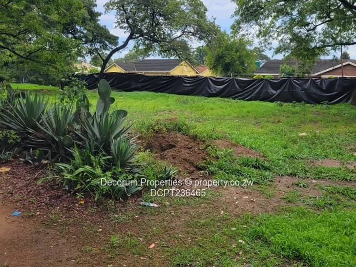 Beautiful stands Borrowdale Kinsley Estate