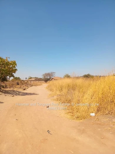 Whitecliff Stand For Sale  (Sole Mandate)