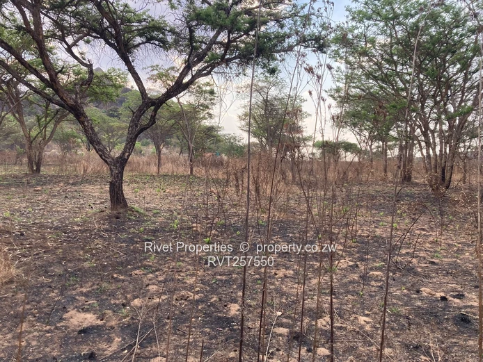 Charlotte Brooke 1,000 m²: with deeds terms accepted