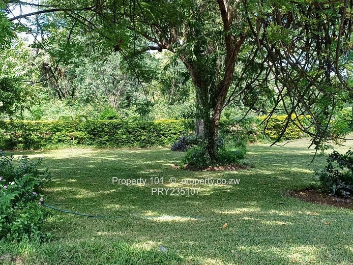 Kariba-Baobab Ridge Gem~ invest in Tranquility 