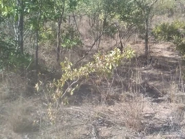 Farm & Agricultural Land