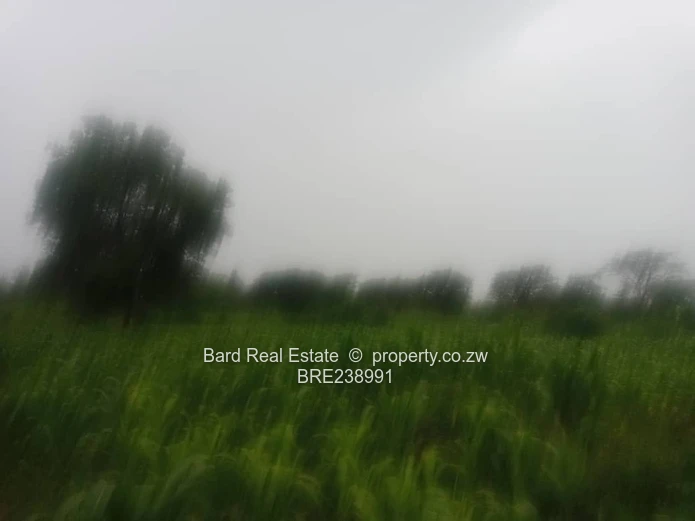 26ha Borrowdale — Subdivide-Ready, Main Road Frontage