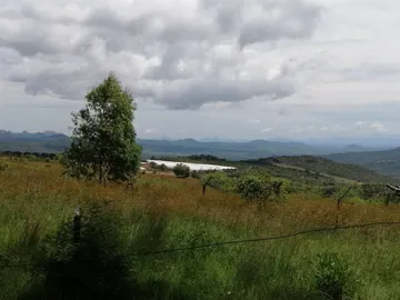 Farm & Agricultural Land