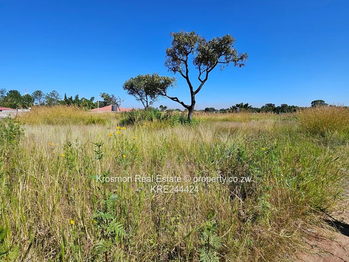 Open Grassy 2084m² Stand — Main Road Frontage, Airport