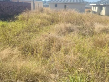 Stands & Residential Land