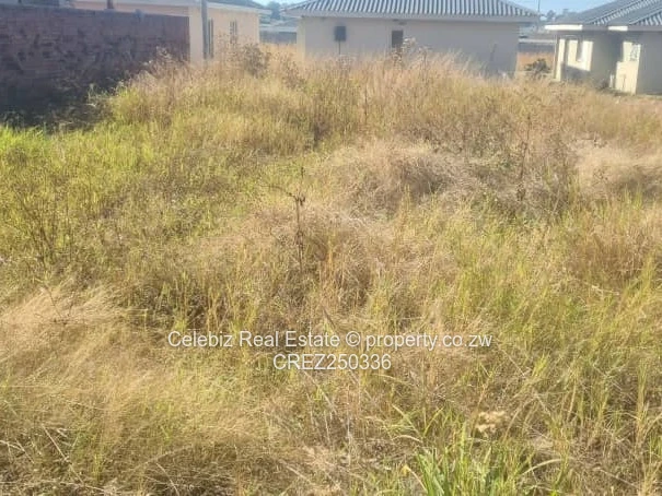 Fairview Ruwa stand for sale