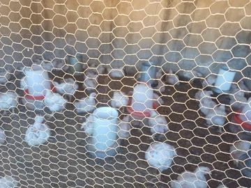 Farm & Agricultural Land