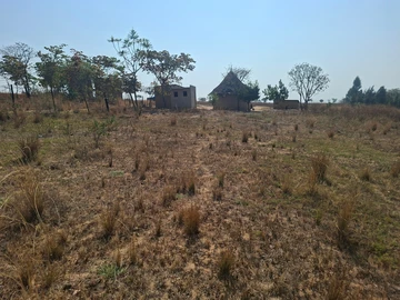 Farm & Agricultural Land