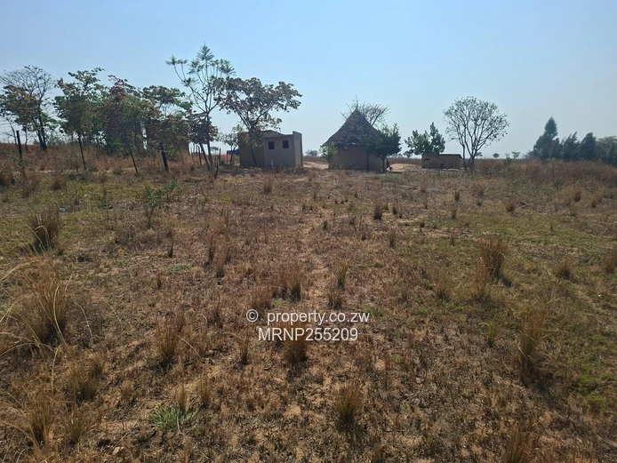 Headlands Plot for sale  (Sole Mandate)