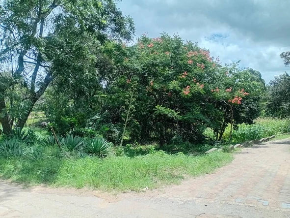 Commercial & Industrial Land