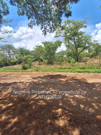 Vacant residential stands 