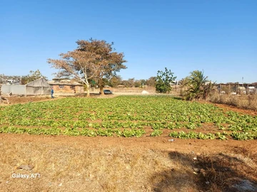 Stands & Residential Land