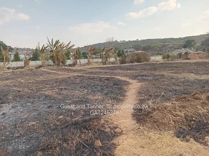 Ruwa Athelney Stands For Sale