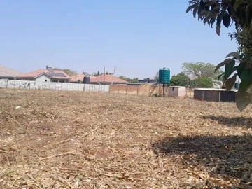 Stands & Residential Land