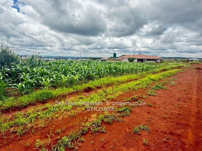 Crowhill Stand For Sale